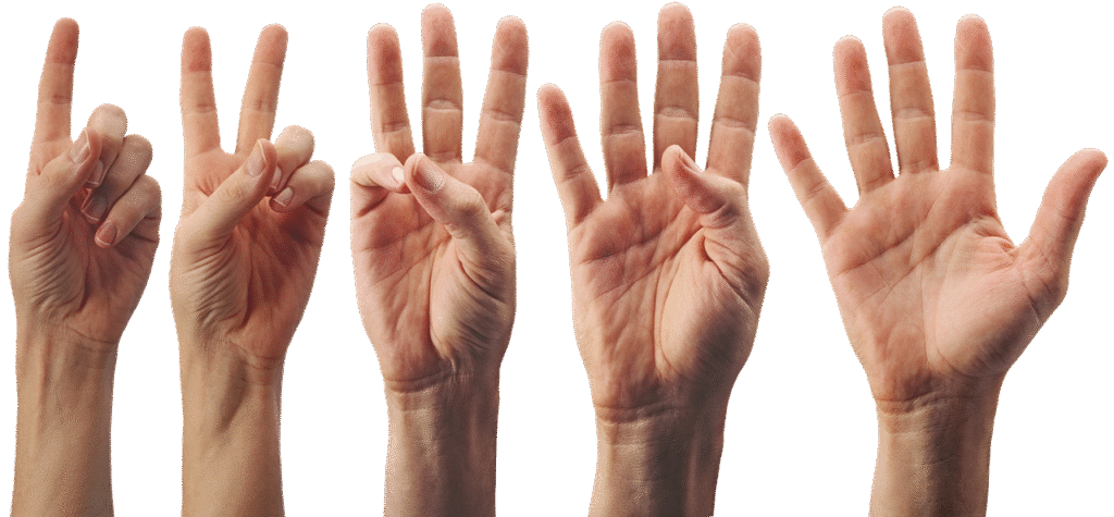 hand, palm, fingers, one, two, three, four, five, gesture, account, wrist, three, five, five, five, five, five
