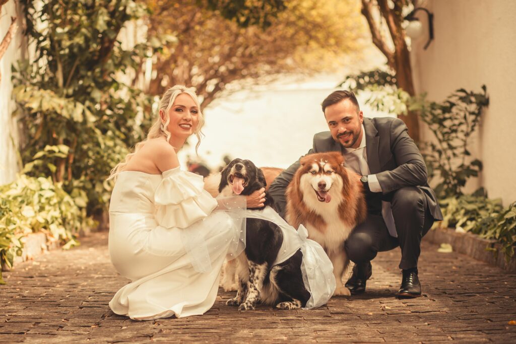 Bride and groom joyfully pose with their dogs on a sunny outdoor day. Perfect wedding memory.